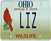 {v} Liz Licence Plate