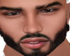 ` Mesh Head + Eyes