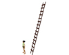 Tall Resizable Ladder