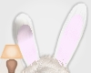 EasterBunny Ears!