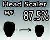 Scaler Head 87.5% M/F