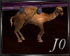 Arabic - Camel