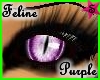 Sube Feline Purple