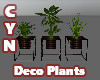 ♥Jones Deco Plants