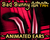 !T Bad Bunny ears