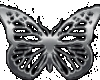 Silver Butterfly tee-F