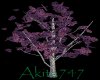 Akitas falling lilacs