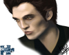 Edward Cullen Portrait