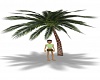 Beach Palm Kiss
