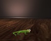 animated iguana