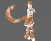 +Cat Tail Ginger