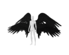 Black Death Wings