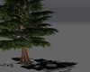 Boho Lit Tree 'Black'
