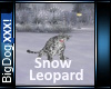 [BD]SnowLeopard