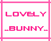 *[J] LOVELY BUNNY*