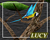 ~LC~Parrot Tree