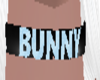 [FS] Bunny 5