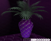 <AF>Purple Vases