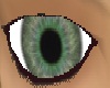 Green grey eyes M