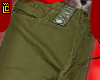 cargo pants v2