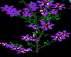 Fluro - Vine flowers