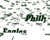 Philly Eagles Confetti