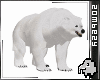 Bear Pet