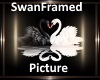 [BD]SwanFramedSign