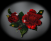   Deep Red Roses