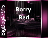 [BD]BerryBed