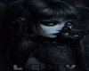 ►Anim Cut Black Cat