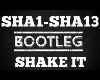 Bootleg Shake It