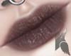 K. Christ. Lips lV. lll