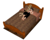 Safari Cuddle Bed