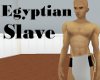 Egyptian Slave