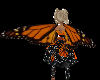 Monarch Butterfly Wing