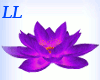 LL: Lotus Flower seat