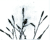 Sketches - Sq