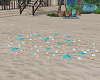 Mermaid Cve Seashells