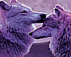 (RD) Wolf soulmates (M)