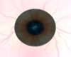 [BS] Brown Eyes