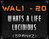Whats A Life - Lucidious