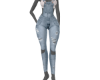 RSE Coverall