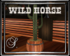 (SL) Wild Horse Cactus