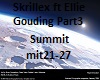 Skrillex Summit Part3