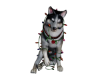 CHRISTMAS DOG ANIM