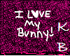 )KB( Bunny Balloon