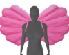 v. Seashell Wing - Pink