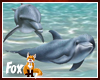 Fox~ Dolphins 2d image