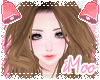 Maire | Mocha